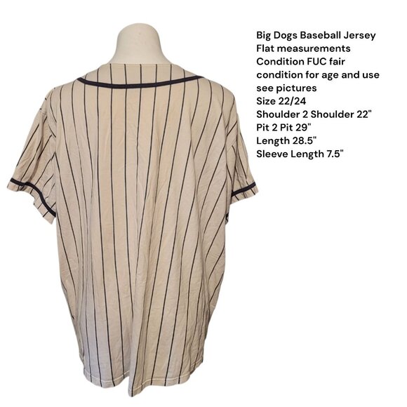 Vintage Big Dogs Jersey Button Up Striped Shirt 90s Womens Blue White 3X 22 24 - Picture 3 of 7